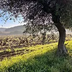 Et Ses Merveilleuses Calanques Appartamento