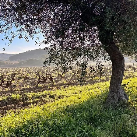 Et Ses Merveilleuses Calanques Apartment