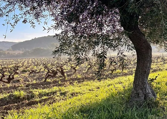 Et Ses Merveilleuses Calanques Apartment